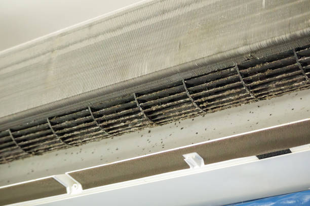 Best Ventilation System Cleaning in Newmanstown, PA